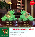 CẶP KÌ LÂN TO DÁT VÀNG